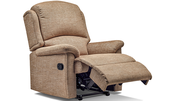 Small shop brown recliner
